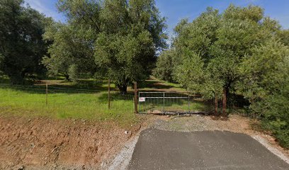 Sims TLC/Meier Olive Orchard