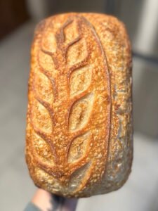 Magnolia dreams Homestead Farm stand