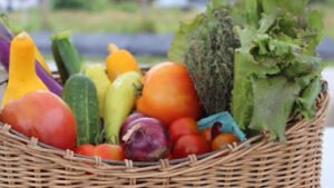 Plum & Mule Community Market