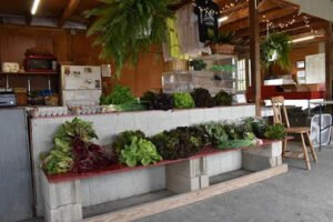 Flander’s Farm Stand